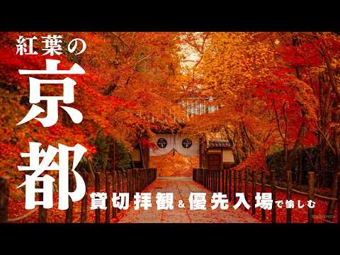 画像: 【2026年京都の紅葉】混雑を避けて絶景へ!東寺ライトアップ優先入場と光明寺早朝拝観 www.youtube.com