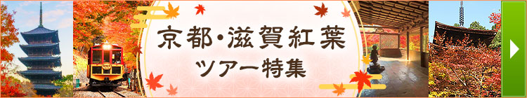 画像2: www.club-t.com