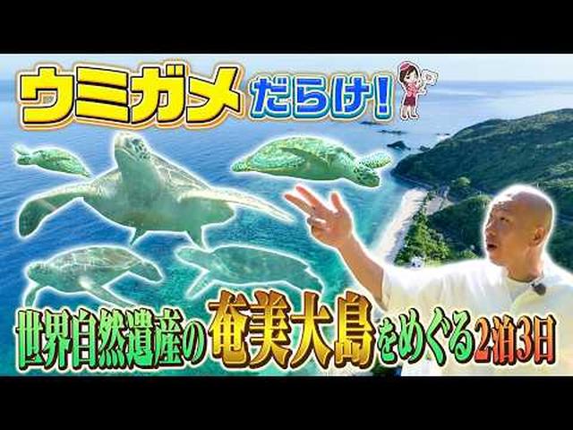画像: 世界自然遺産 奄美大島の絶景・グルメ大満喫旅 後編 youtu.be