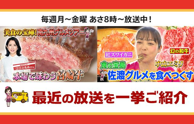 画像: 【8月26日更新】テレビ東京「教えて!ツアーの達人」で放送したツアー