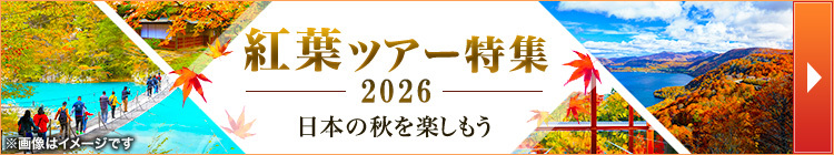 画像2: www.club-t.com