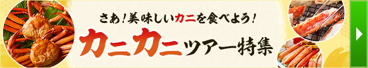 画像1: www.club-t.com