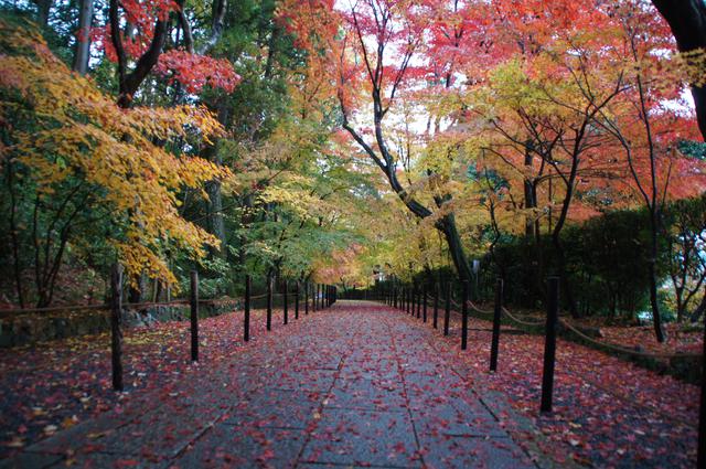 画像: 西山浄土宗 総本山光明寺とは