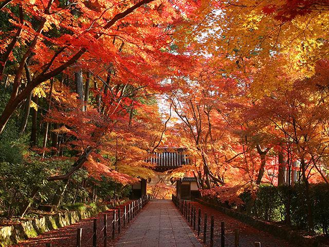 b56f2aaf4feb4e52c41fae855f8142