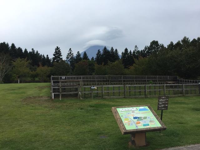 画像9: 【あるく・シリーズツアー】
富士山すそ野ぐるり一周ウォーク 第1回をご紹介します。