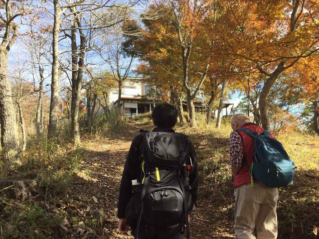 画像4: 【あるく・ハイキングツアー】11月9日~12日出発 紅葉の富士青木ヶ原樹海と紅葉台・三湖台ハイキングについて