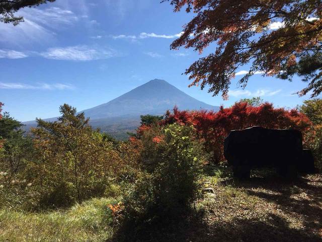 画像6: 【あるく・ハイキングツアー】11月9日~12日出発 紅葉の富士青木ヶ原樹海と紅葉台・三湖台ハイキングについて