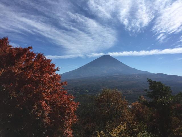 画像5: 【あるく・ハイキングツアー】11月9日~12日出発 紅葉の富士青木ヶ原樹海と紅葉台・三湖台ハイキングについて