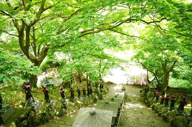 画像: 新緑の大山寺(イメージ)
