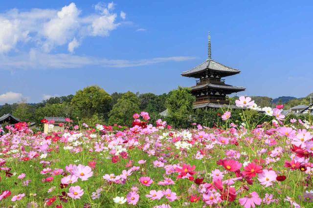 画像: 法起寺