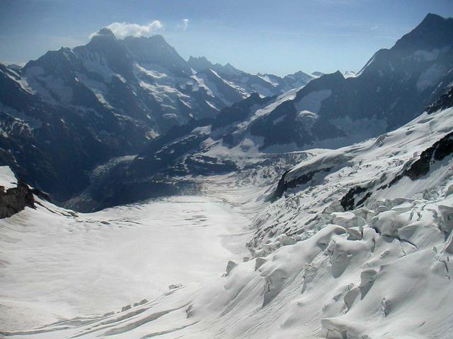 画像: アレッチ氷河