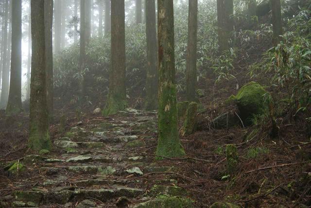 画像: 熊野古道・大雲取越