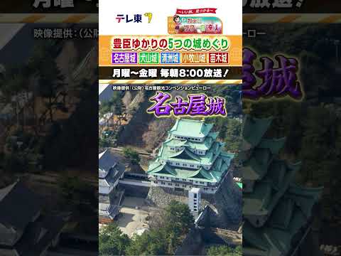 画像: 豊臣ゆかりの5つの城巡り&名古屋グルメ はじめてでも安心の歴史ツアーへ【教えて！ツアーの達人】#shorts #shortvideo #short #旅番組 www.youtube.com