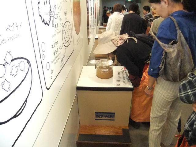 画像: 「初期」「発酵期」「熟成期」のもろみの香りを嗅ぎ比べしています
