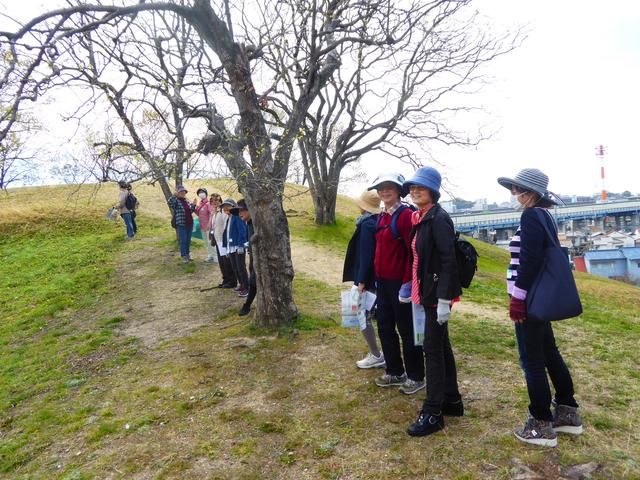 画像: 古室山古墳のてっぺんに登って良い眺めをお楽しみいただきました