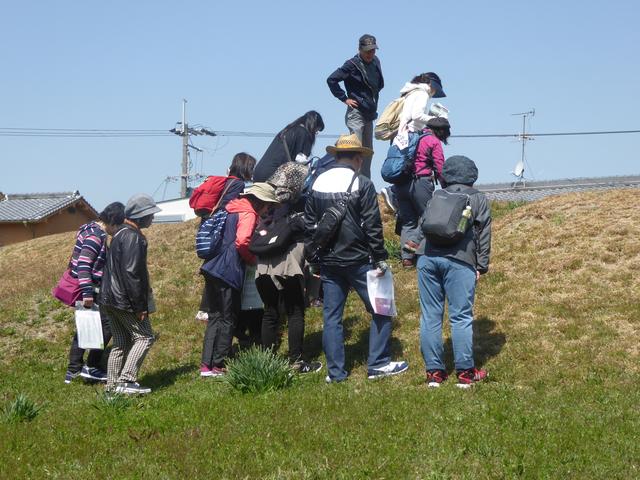 画像2: 【関西エコースタッフデスク】春の訪れを感じながらガイドの案内で古代ロマン溢れる古市古墳群めぐり