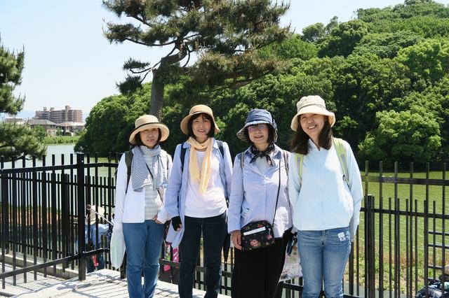 画像: ビュースポットからの履中天皇陵の眺めは良かったです。
