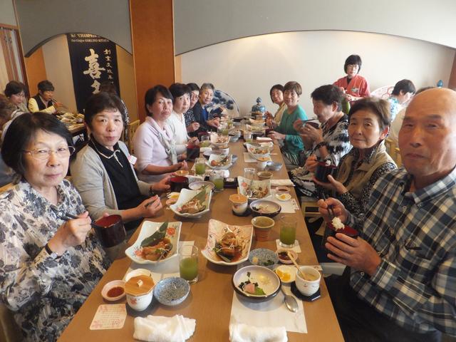 画像7: 【千葉エコースタッフデスク】旧古河庭園“春のバラフェスティバル”六義園交流会