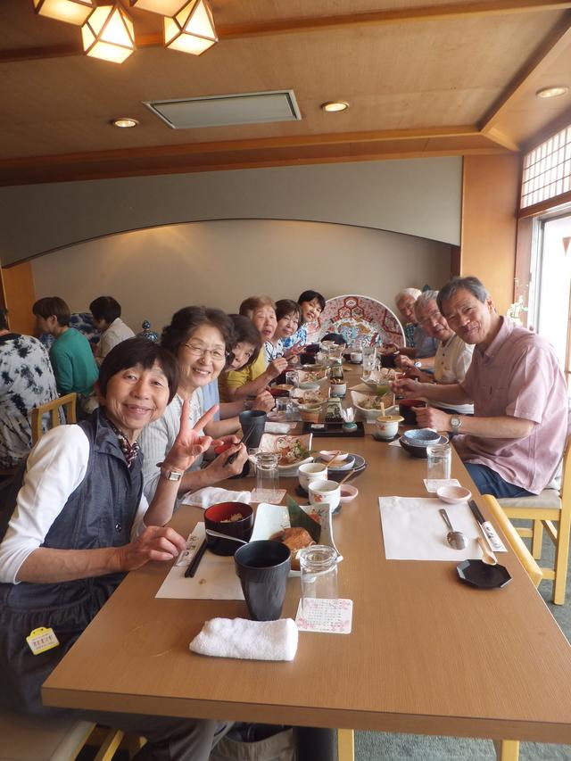 画像6: 【千葉エコースタッフデスク】旧古河庭園“春のバラフェスティバル”六義園交流会