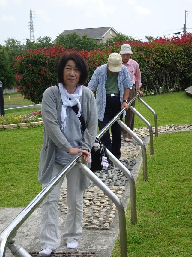 画像5: 【千葉エコースタッフデスク】南房総3つの道の駅めぐりと日運寺・那古寺