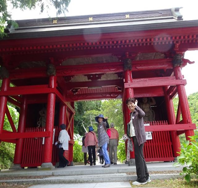 画像6: 【千葉エコースタッフデスク】南房総3つの道の駅めぐりと日運寺・那古寺