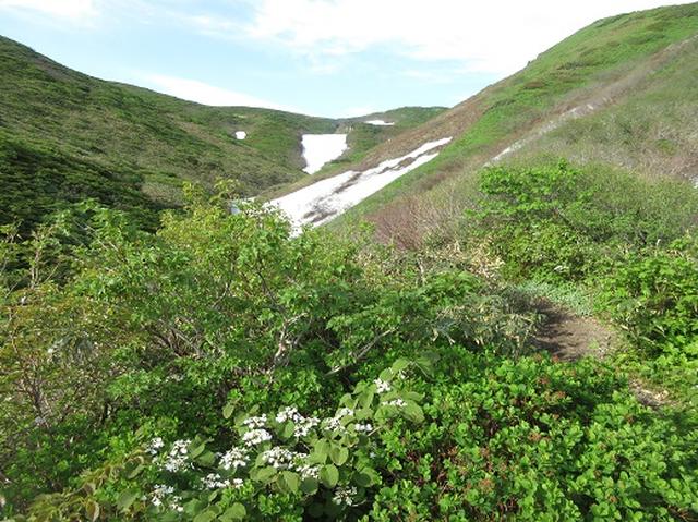 画像2: 【山旅会】秋田駒ヶ岳