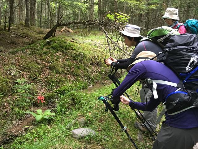 画像3: 【「旅の友」現地リポート】編集部ただ今取材中!
~秋からはじめる登山教室 八ヶ岳・硫黄岳2日間~(1日目)