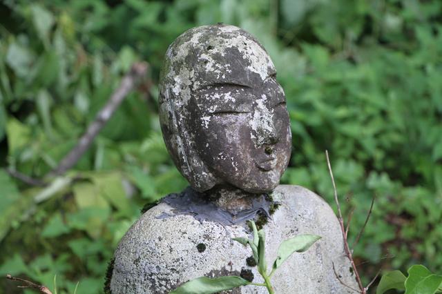 画像6: 【「旅の友」現地リポート】
編集部ただいま取材中!
~奥大山・木谷沢渓流と大山ブナの森ウォーク~(日帰り)