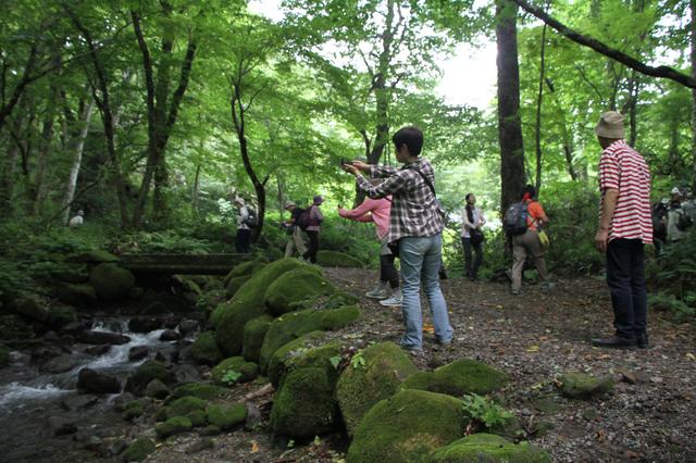 画像3: 【「旅の友」現地リポート】
編集部ただいま取材中!
~奥大山・木谷沢渓流と大山ブナの森ウォーク~(日帰り)