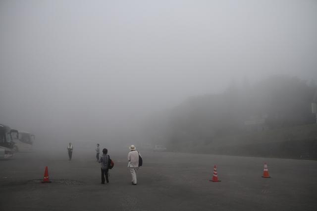 画像7: 【「旅の友」現地リポート】
編集部ただいま取材中!
~奥大山・木谷沢渓流と大山ブナの森ウォーク~(日帰り)