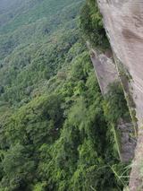 画像: 鋸山の急峻な断崖