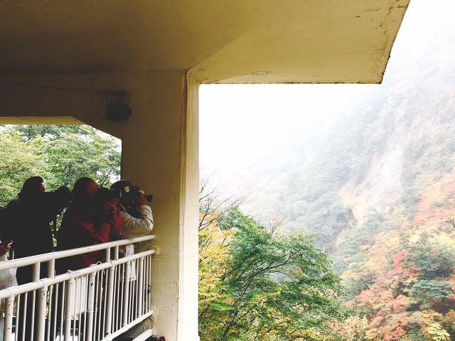 画像: 場所によって異なる紅葉の彩りをカメラに収めていきます