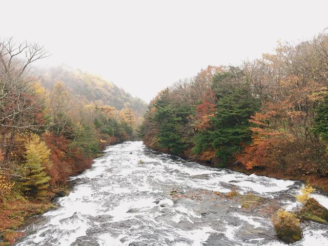 画像: 奥日光のなかでも紅葉を早く迎えることで知られる「竜頭の滝」