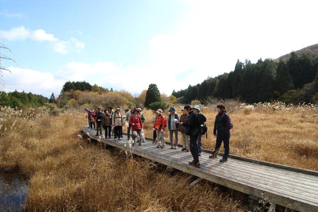 画像: ときどき足を止めて、同行の専門講師・杉本さんが植物などについて解説してくれます