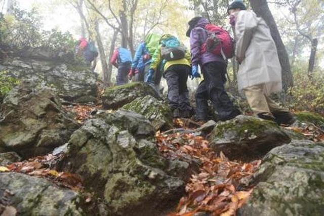 画像: 安全な歩き方を心がけながら坂道を上る旅仲間たち