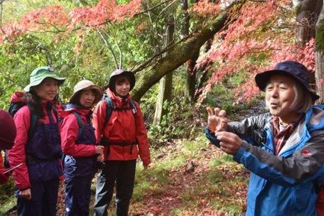 画像: 沿道の植物の解説をする金田ガイド(右)