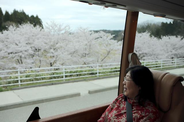 画像: 「ロイヤルクルーザー」車内