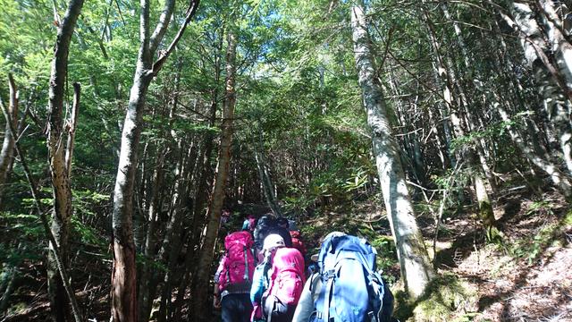 画像: 登山口へ入ると、道が険しくなってきました