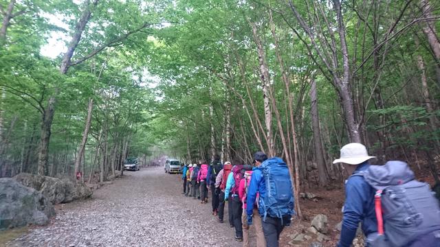 画像: まずは登山口を目指して林道を1時間程歩きます