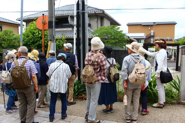 画像: 宇治上神社に向かう途中にある「さわらびの道」で話を聞く旅仲間