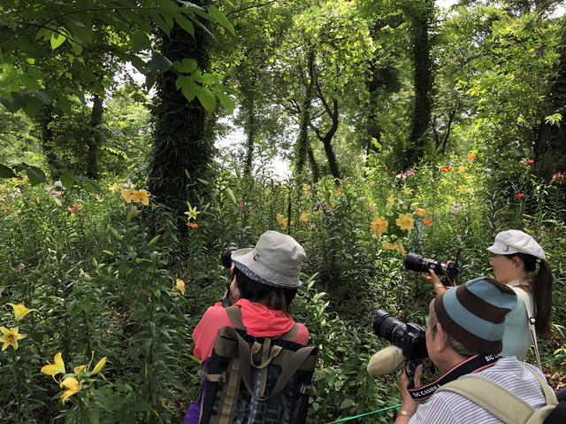 画像: 吉住講師(右)と一緒に夢中になってシャッターを切る旅仲間たち