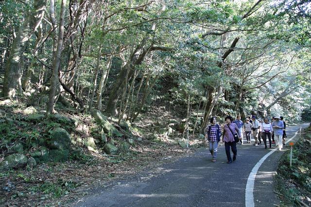 画像: 世界自然遺産に登録された林道の一部区間でバスを下車し、旅仲間とともに歩きました