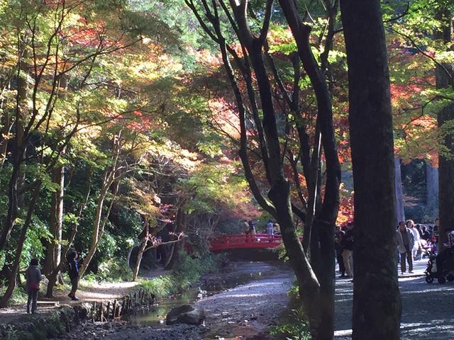 画像: 小國神社の撮影スポット、赤橋と紅葉