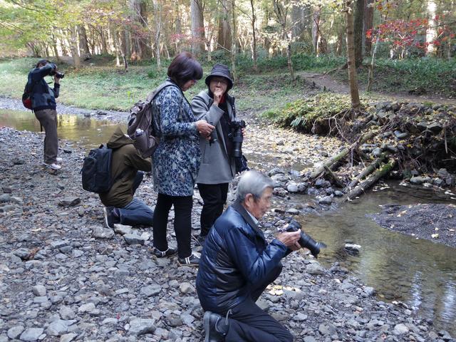 画像: 旅仲間同士でアドバイスし合うことも