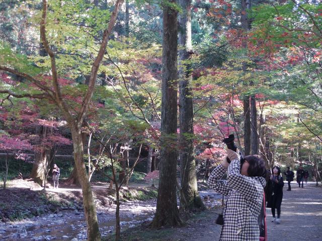 画像: それぞれの撮影ポイントを見つけて早速撮影