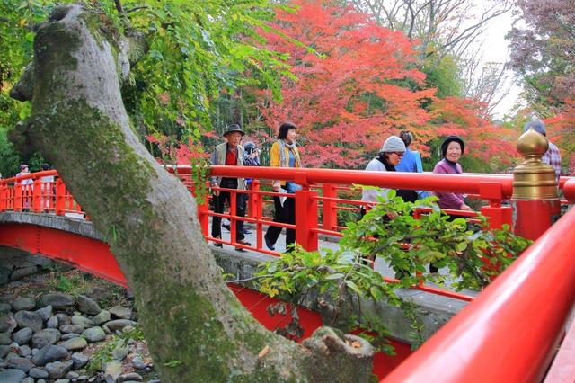 画像: 修善寺