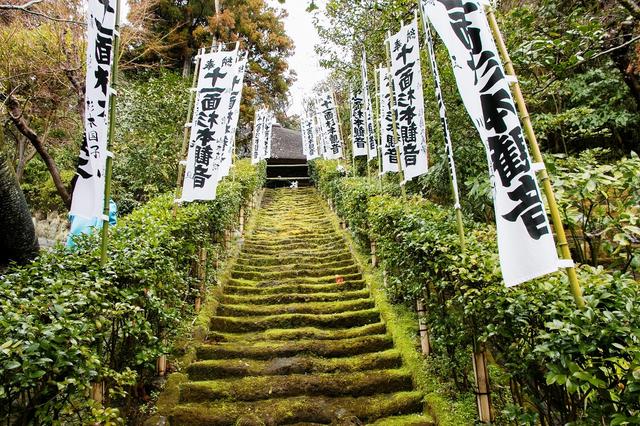 画像: 本堂までまっすぐのびる苔の階段。現在は立ち入り禁止のため、下から見上げて楽しみます