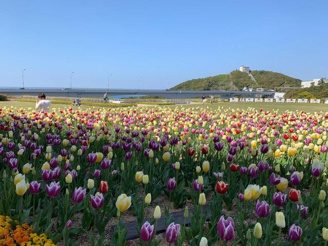画像: 開放的な庭園(1F)でひと休み