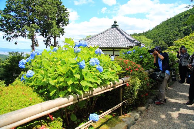 画像: 京都市内を見渡せる花の寺・善峯寺にて撮影