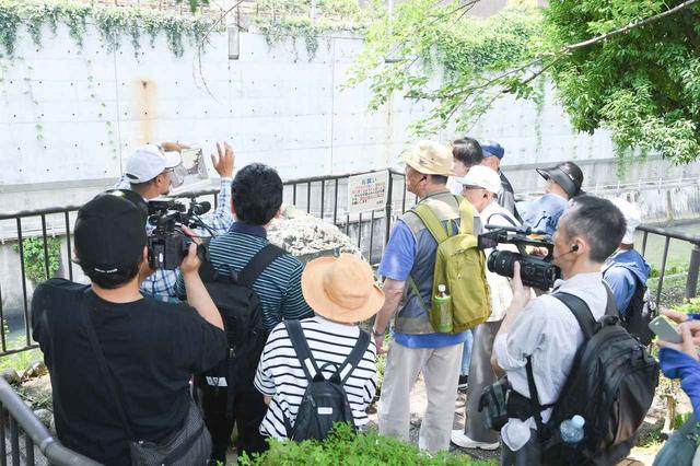 画像: 昔の写真を使ったガイドの解説に聞き入る旅仲間のみなさん